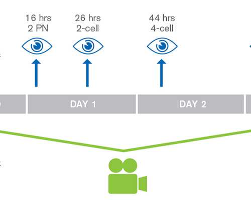 上海怎么找借腹生子中介,上海供卵试管价格多少钱,【上海代孕基地，孕育奇迹