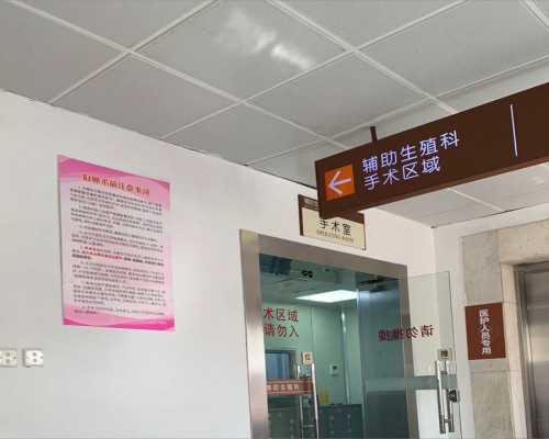 上海代孕网,上海哪个医院做试管成功率最高?上海试管助孕生男女费用