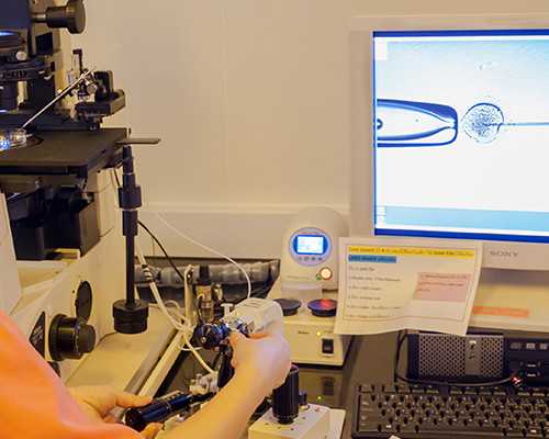 上海代怀-上海供卵机构排名,去泰国做供卵代孕婴儿，通过哪些技术能够规避胎