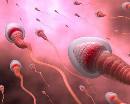 上海捐卵试管有无风险,上海捐卵多少钱-哪里能够供卵