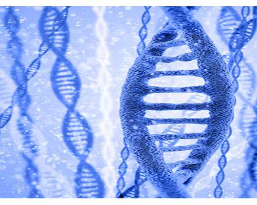 上海一流代怀中心,2026
年上海做三代供卵试管婴儿多少钱？