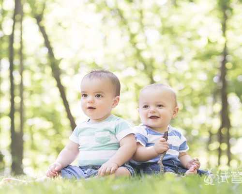 上海代怀孕双胞胎,上海试管婴儿助孕机构排名榜：哪些机构值得信赖？