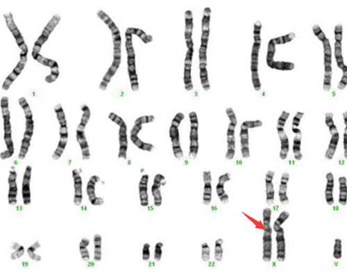 上海供卵机构,上海正规供卵试管医院排行榜，附借卵助孕生子机构一览！