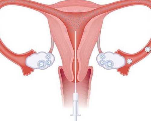 如何提高女性受孕率的有效方法