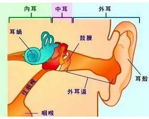 上海代孕医院正规吗,2026年上海市三代供卵试管生男女机构哪家好