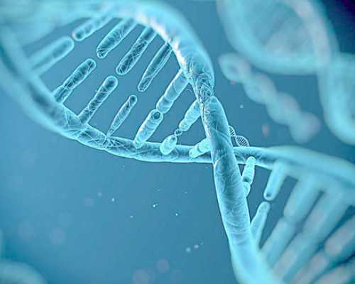 上海代孕公司怎么找,2026
上海九院生殖中心可以做第三代试管婴儿吗?