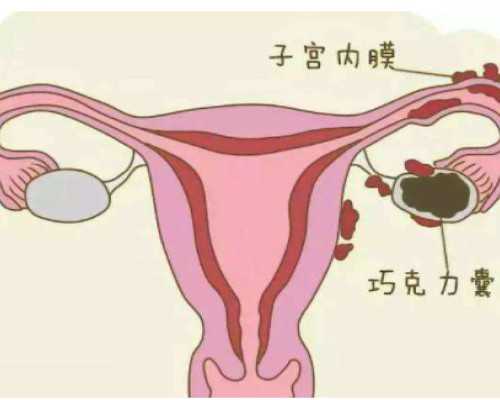 上海靠谱代怀医院,2026
上海市东方医院试管婴儿技术怎么样？附上海市东方医院