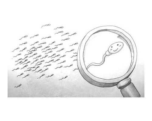 上海怎么找借腹生子中介,上海供卵试管价格多少钱,【上海代孕基地，孕育奇迹