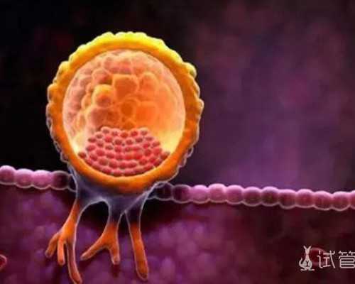 上海私立借卵中心,上海仁济医院供卵代孕成功率多少？一次供卵代孕费用高不