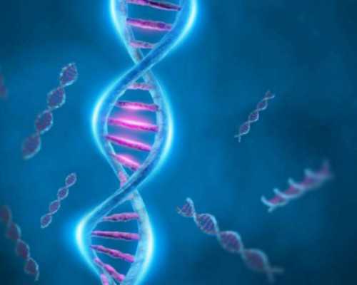 上海试管借卵代怀,上海备孕攻略：权威备孕推荐及选择秘诀