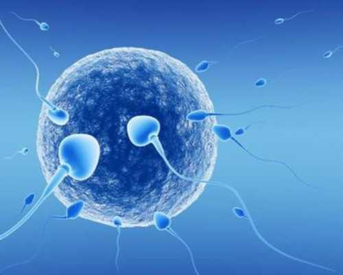 上海怎么找借腹生子中介,上海供卵试管价格多少钱,【上海代孕基地，孕育奇迹