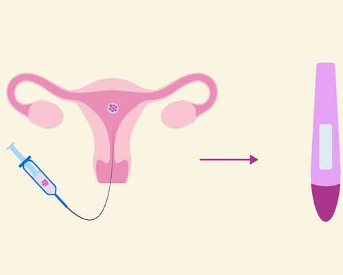 大班保护动物教案(幼儿园大班社会《伤心的小蜗牛》教案怎么写)