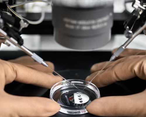 上海代怀生子费用,2026年上海私立机构**婴儿收费标准，**生男女3万元起步