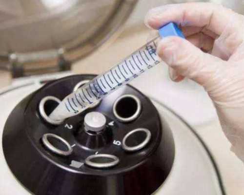 上海捐卵多少钱,上海捐卵试管有无风险_代怀生子医院