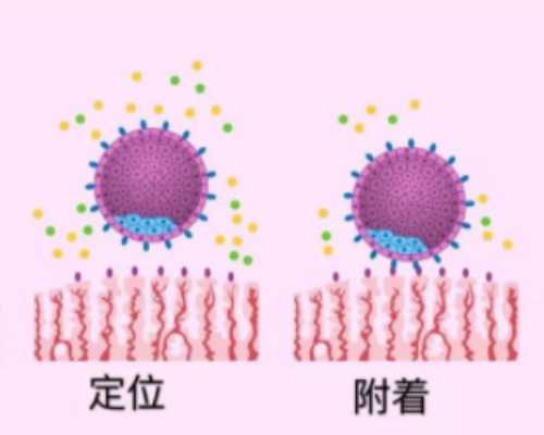 上海专业代孕包性别,试管前需要什么准备？-上海供卵试管婴儿中心-上海供卵试