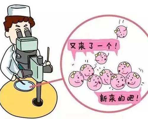 上海供卵哪家安全,北京哪做试管婴儿好-上海供卵机构有哪些-胎儿性别医生早暗