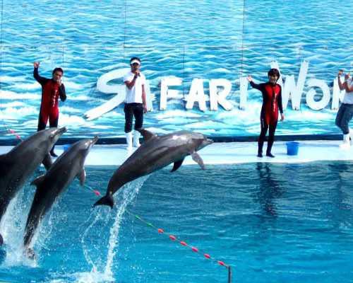 7.21宫探➕宣教➕谈话