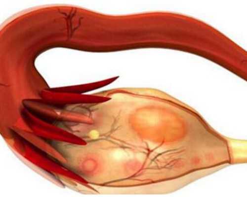 上海哪有代孕公司,上海三代试管婴儿医院排名哪家强？上海试管医院推荐