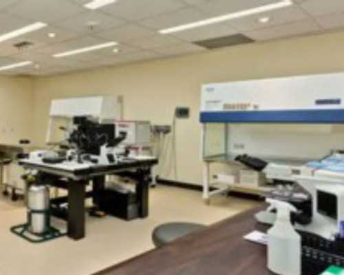 上海代怀在线&上海供卵生殖机构,同性供卵代孕助孕机构_上海供卵供卵代孕双胞