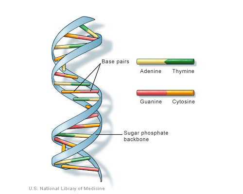上海正规代怀,马来西亚供卵代孕婴儿取卵的步骤流程与准备工作_上海正规供卵