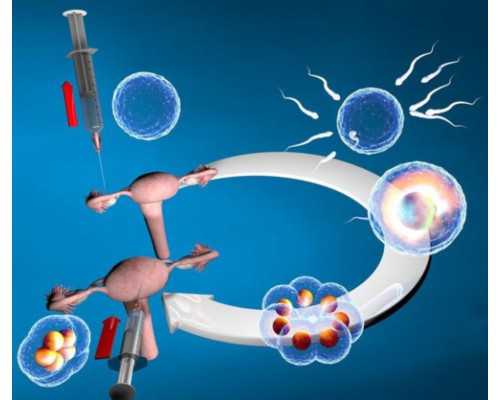 上海医院供卵服务,上海供卵试管包生男孩是真的吗？