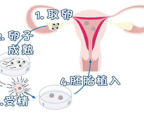 上海代生宝宝电话,上海第九人民医院做试管成功率怎样？这两个数据给你答案