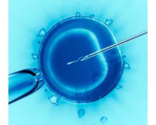 上海怎么找借腹生子中介,上海供卵试管价格多少钱,【上海代孕基地，孕育奇迹