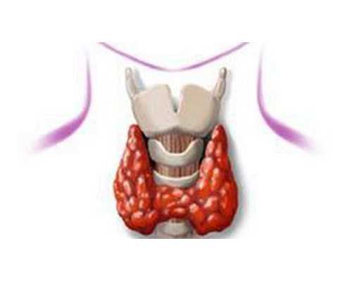 上海捐卵试管有无风险,上海捐卵多少钱_代怀公司价格