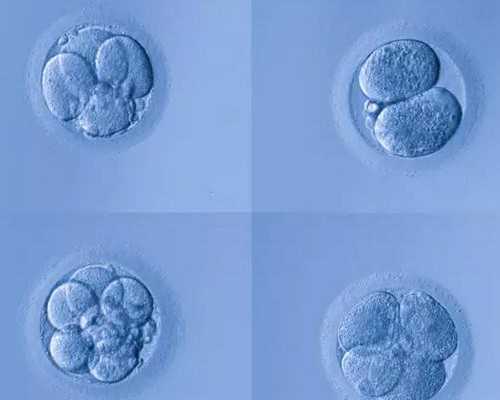 上海怎么找借腹生子中介,上海供卵试管价格多少钱,【上海代孕基地，孕育奇迹