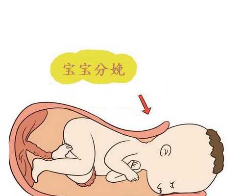 上海助孕在线,中国助孕机构排名，如何识别真假供卵代孕助孕公司？_上海私立