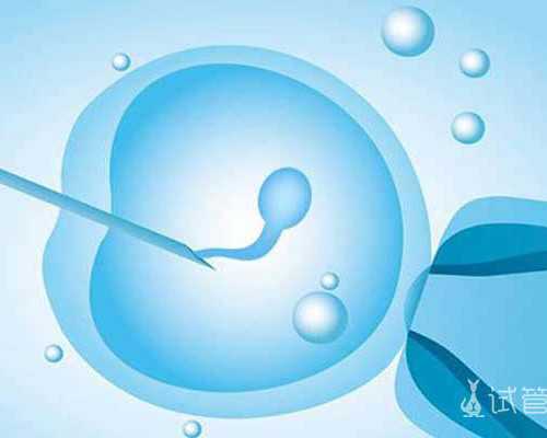 做亲子鉴定多少钱（亲子鉴定费用及流程）