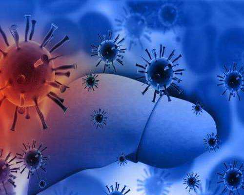 上海仁济医院供卵流程,上海仁济-供卵过程_代生的地方