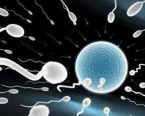 上海有偿助孕网站,哪些人适合供卵代孕短方案促排卵，适合自己的才是最好_上