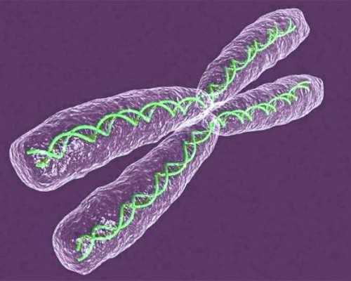 上海捐卵试管有无风险,上海捐卵多少钱_代生包生儿子