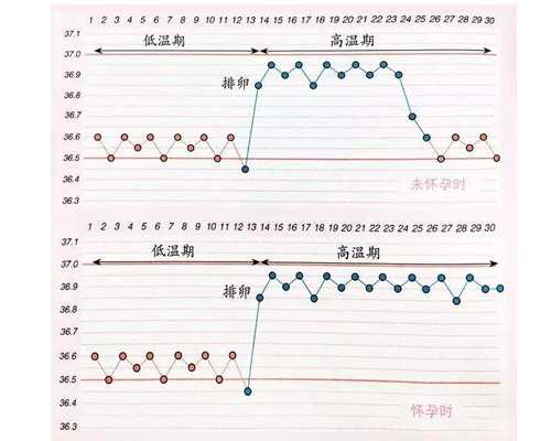 上海试管代怀费用,上海哪里做试管婴儿可以看性别？长征医院能包生男孩吗？