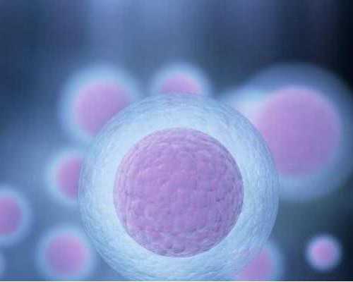 上海供卵自怀费用,上海试管婴儿第3代多少钱一次啊？医生咨询