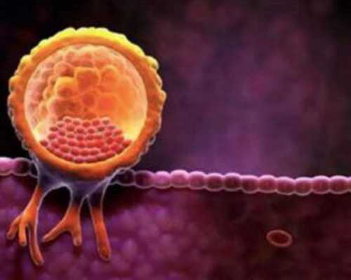 上海代孕专业的公司,2026试管助孕攻略：上海做试管婴儿需要什么证件？-上海供