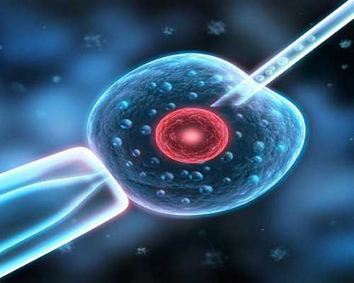 上海有能做供卵三代试管婴儿的私立医院吗？,上海怎么找借腹生子中介,上海供