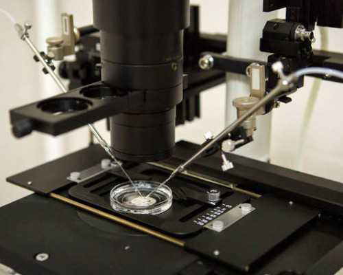 上海怎样申请供卵,“哪里好”是个伪命题！上海市第十人民医院做供卵代孕经