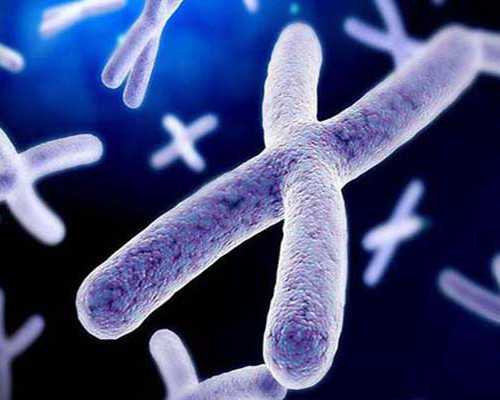 上海代生价位,上海试管婴儿在线咨询电话