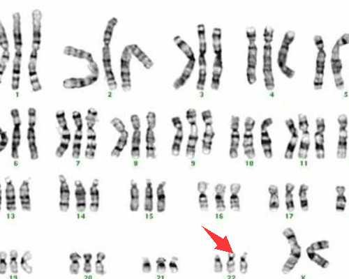 上海借卵生子医院,上海最大的助孕公司 治疗早泄需要多少钱