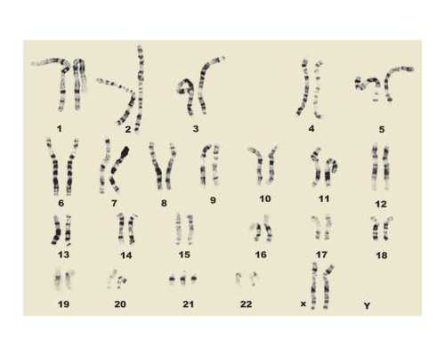 在上海做试管精液检查前**禁欲时间范围是多少！上海试管需要几天！