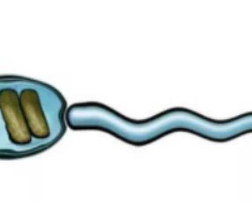 上海正规供卵网,做供卵代孕婴儿对女性伤害大吗？会变胖加速衰老吗？_上海供