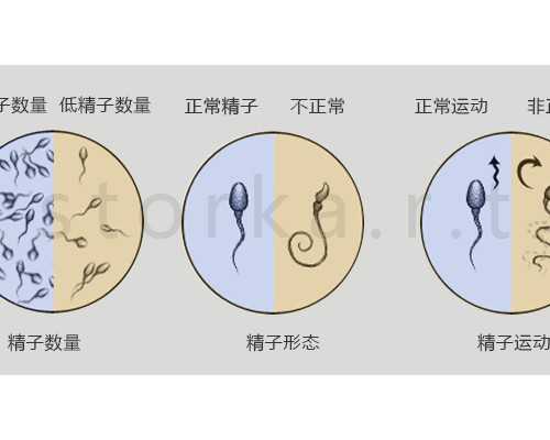 上海怎么找借腹生子中介,上海供卵试管价格多少钱,【上海代孕基地，孕育奇迹