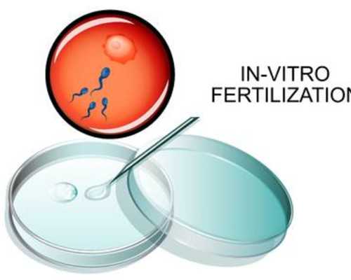 上海怎么找借腹生子中介,上海供卵试管价格多少钱,【上海代孕基地，孕育奇迹