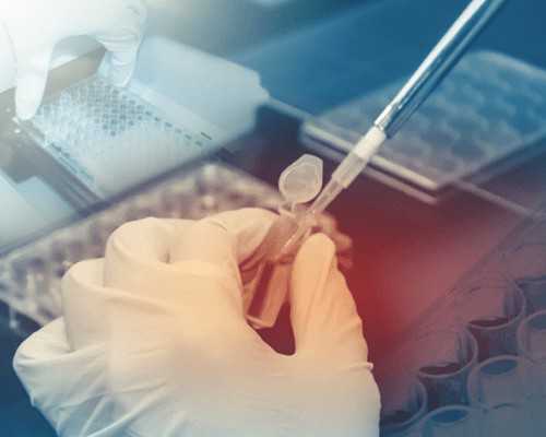 上海捐卵多少钱,上海捐卵试管有无风险_代孕网哪个好