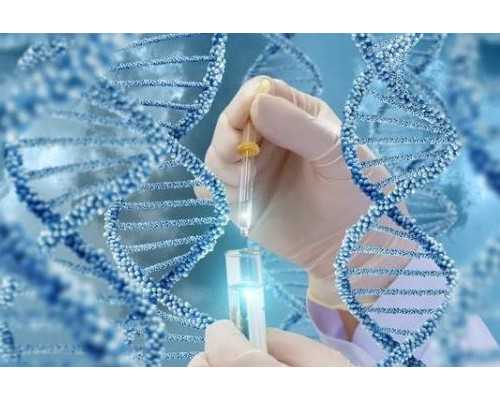 上海怎么找借腹生子中介,上海供卵试管价格多少钱,【上海代孕基地，孕育奇迹