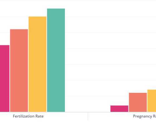武汉试管婴儿费用可以报销吗