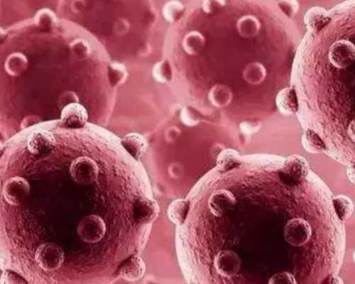 上海捐卵试管有无风险,上海捐卵多少钱_代孕网靠谱吗