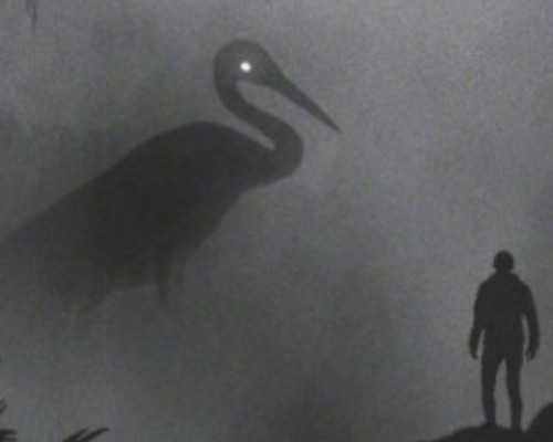 上海代孕去哪里最好,上海一妇婴试管成功率怎么样？要注意什么？